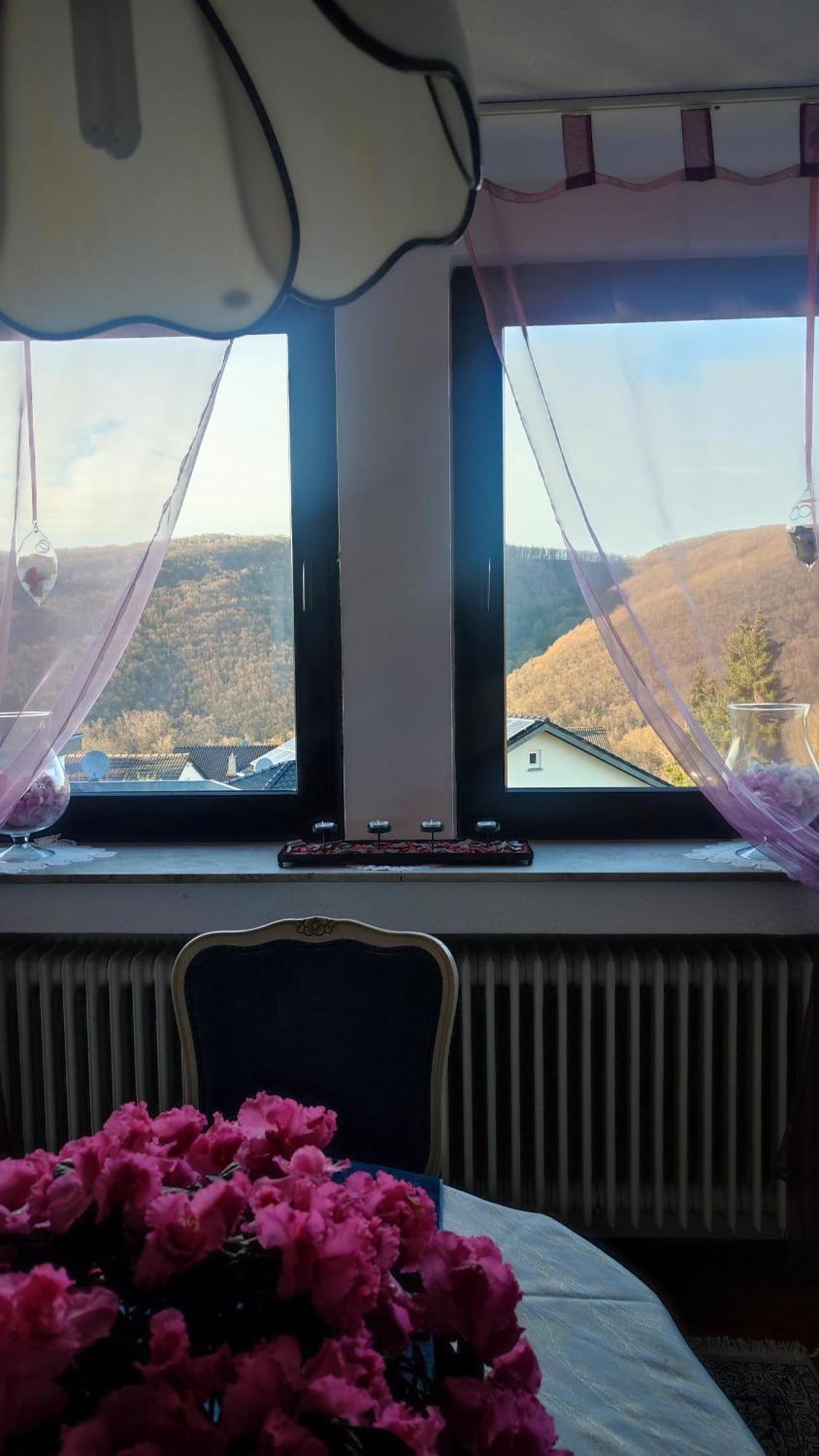 Kermeterblick Apartment Schleiden Luaran gambar