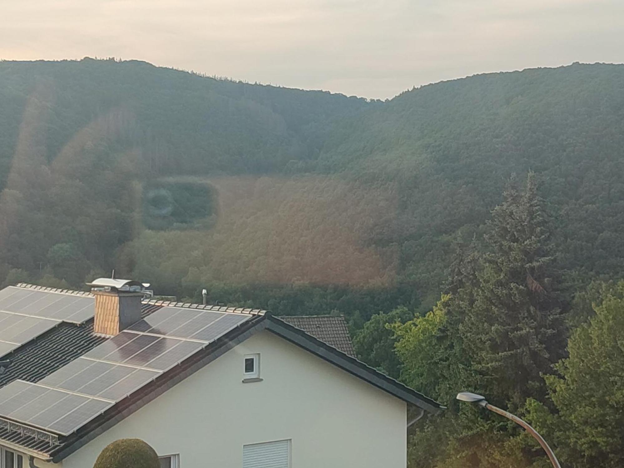 Kermeterblick Apartment Schleiden Bilik gambar